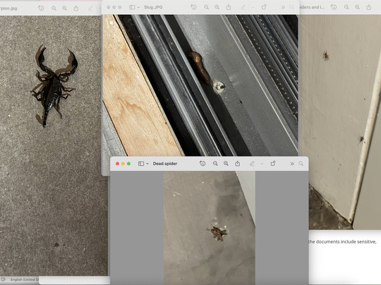 Torre di Moravola主图