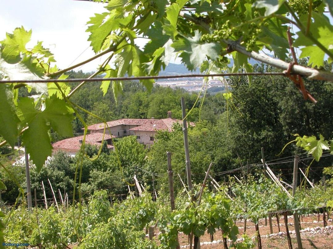 Agriturismo Ca' Verde