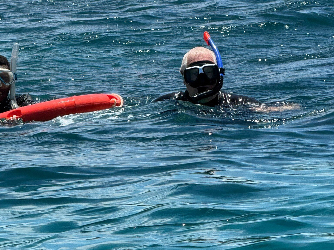 Dive Time Zanzibar-Kizimkazi必去景点
