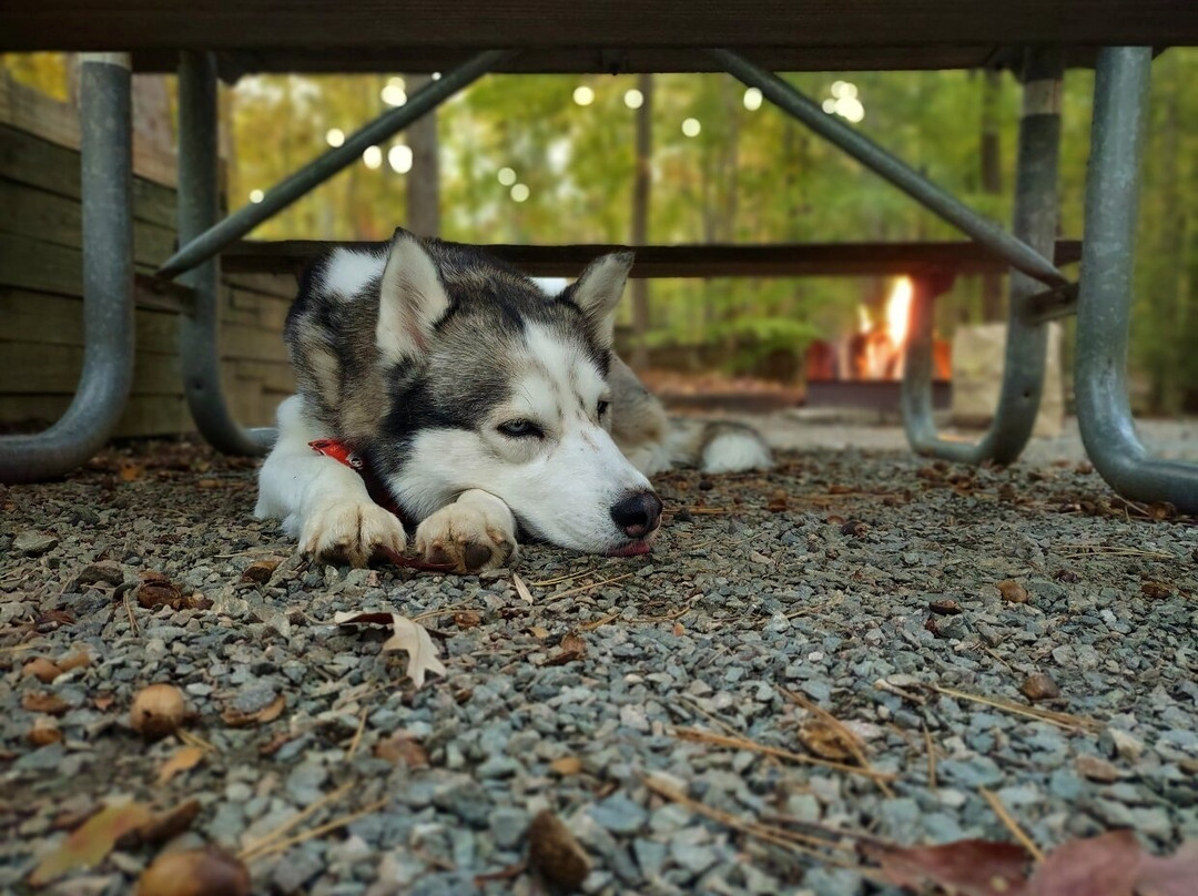 Occoneechee State Park-Clarksville必去景点