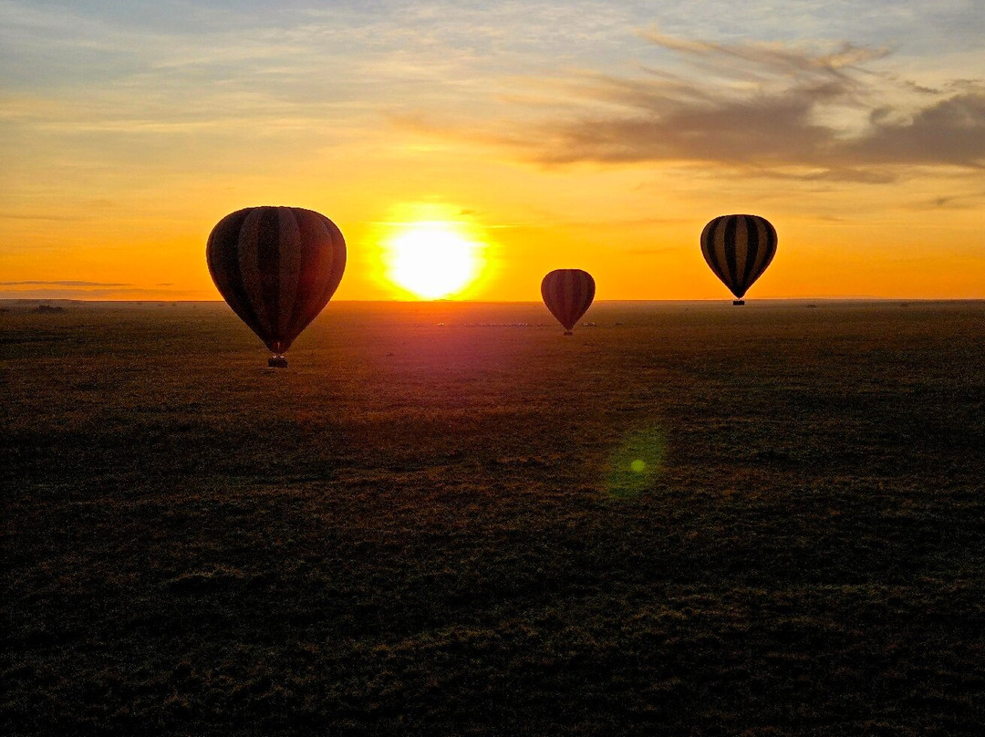 EXG Safaris LLC-California City必去景点