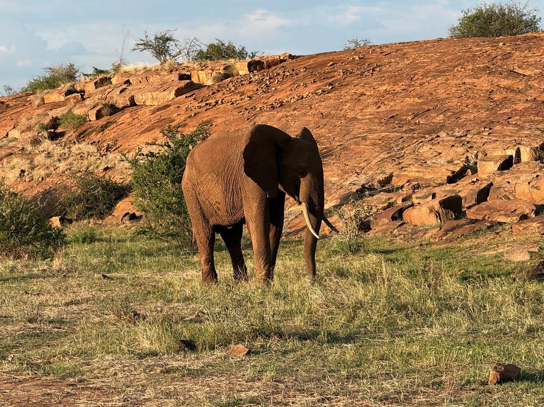 Dida Tours and Safaris-山祖必去景点