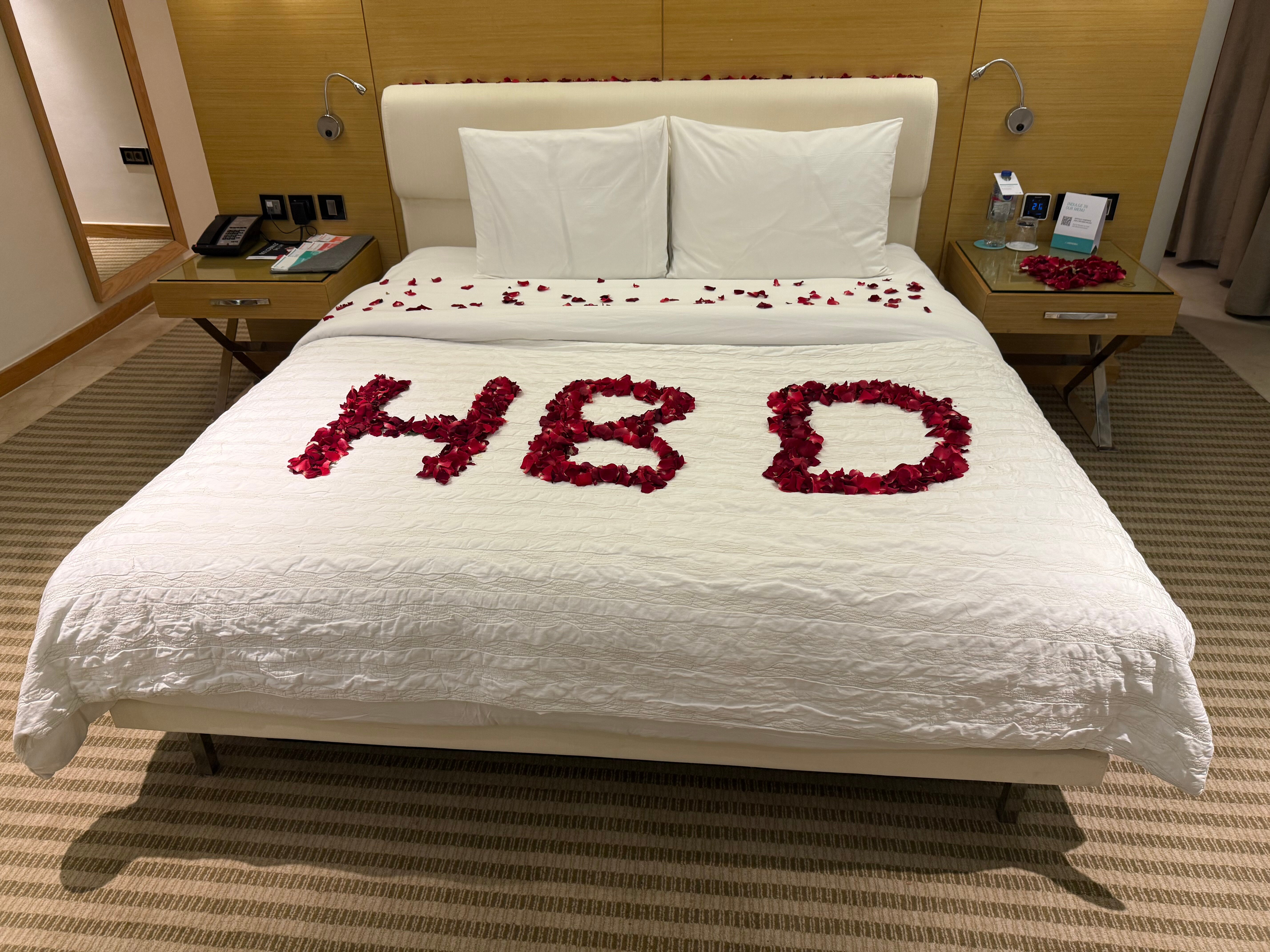 Le Méridien Cairo Airport-客卧