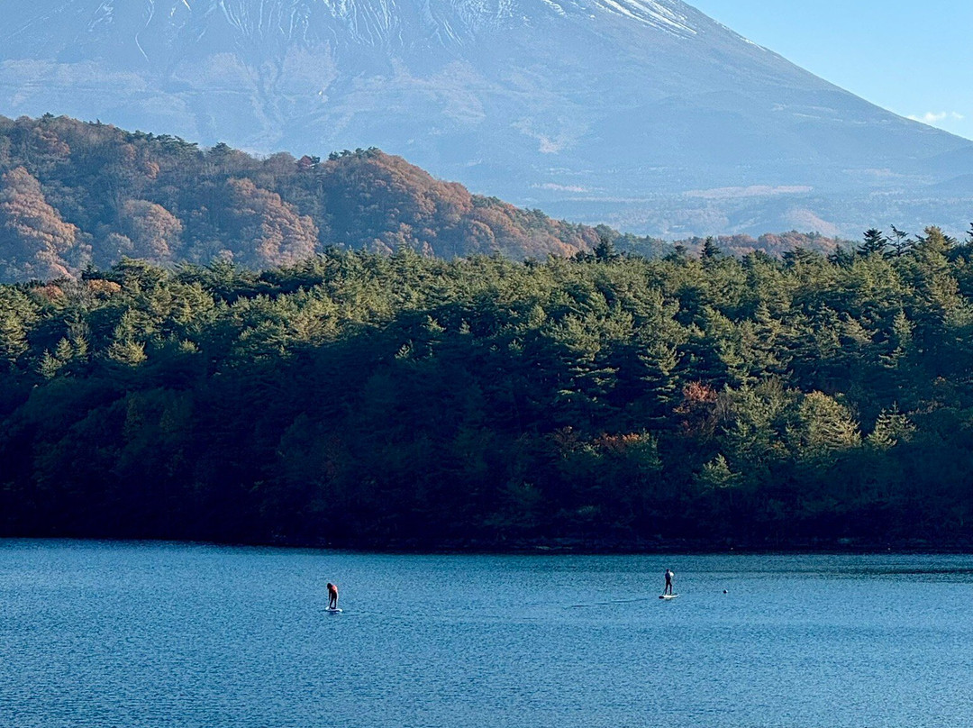 西湖-富士河口湖町必去景点