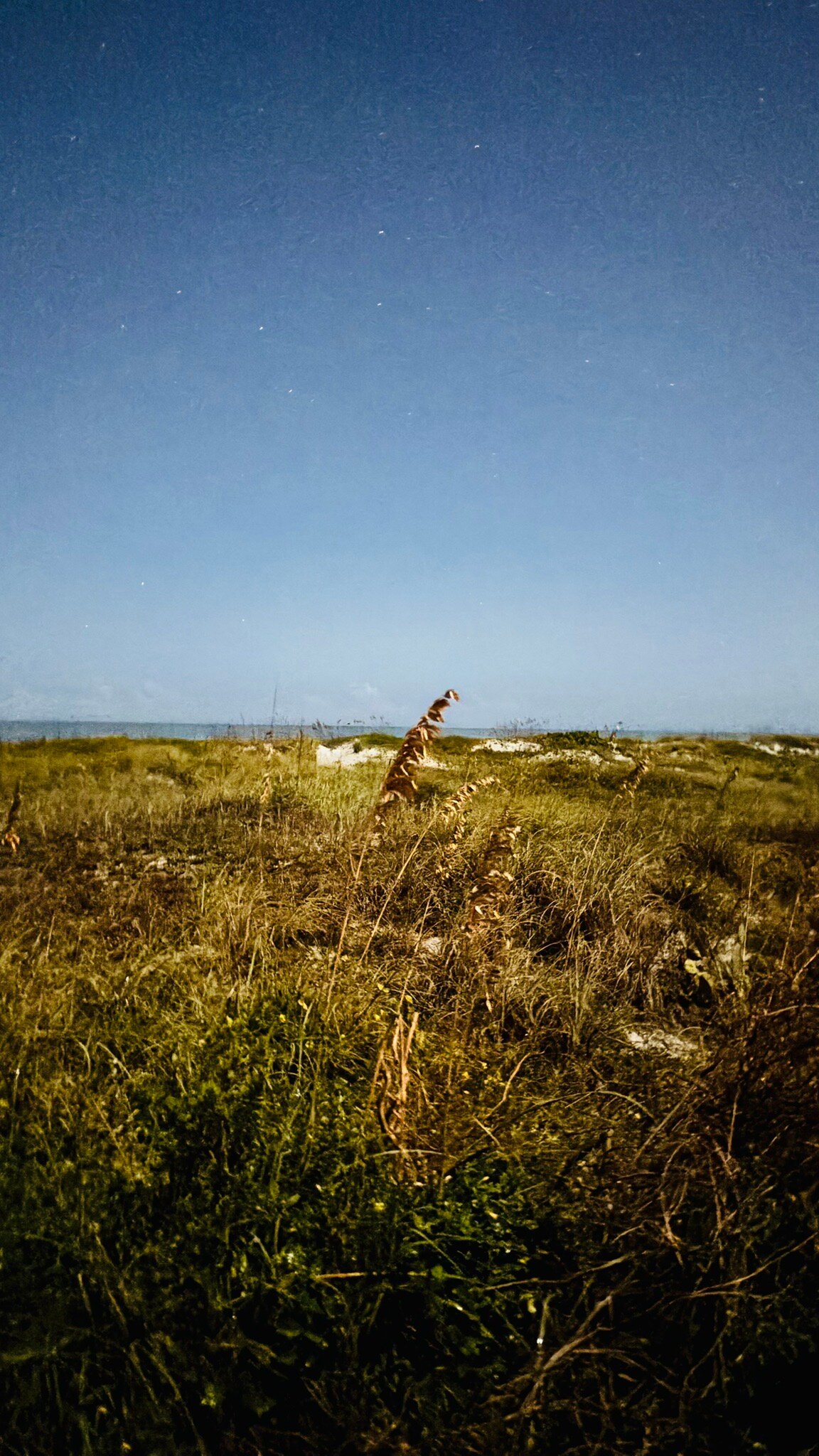 Sea Aire Motel-官方