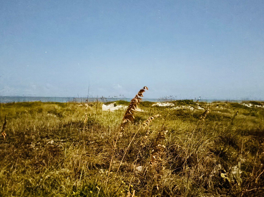 Sea Aire Motel主图