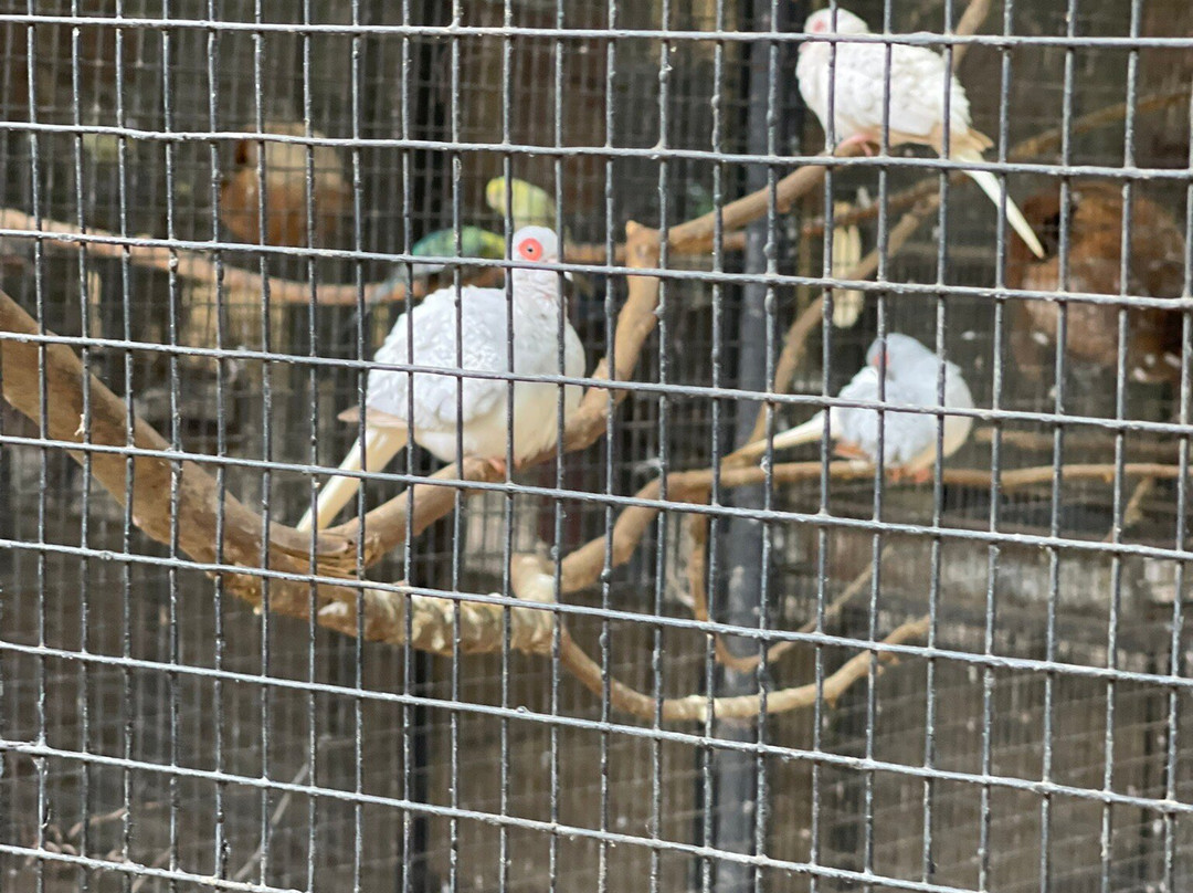 Water World Lanka-凯拉尼亚必去景点