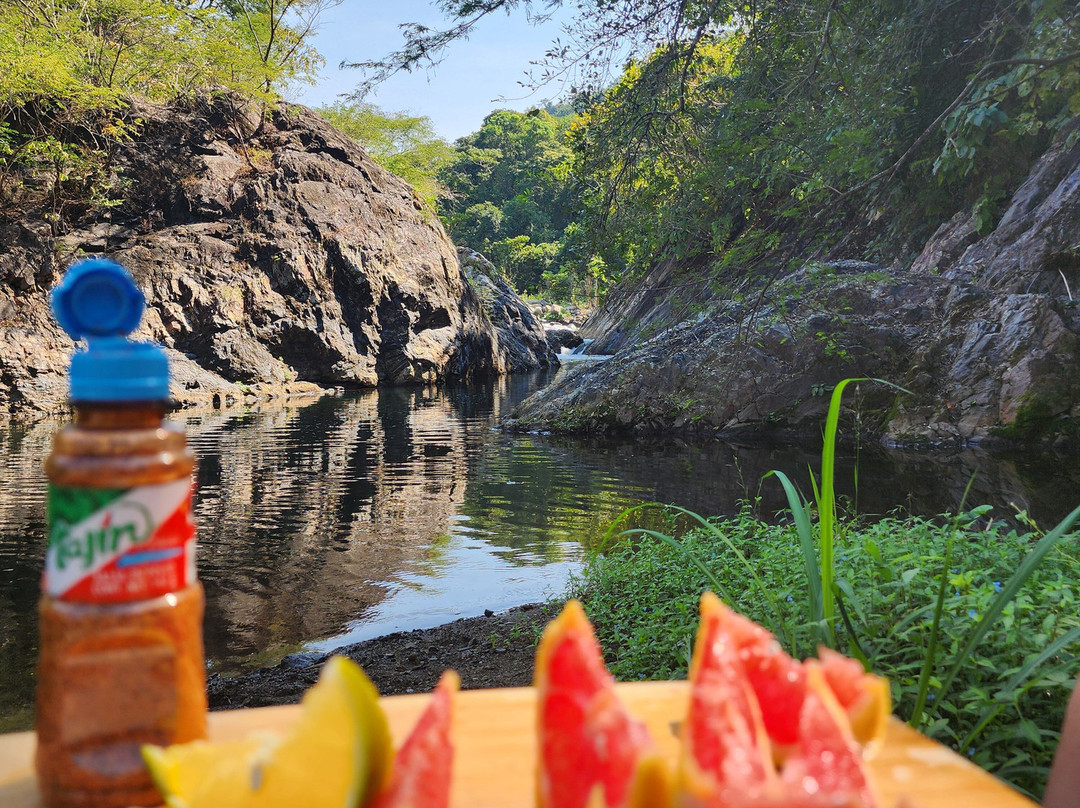 Costa Nativa Ecotours-Troncones必去景点