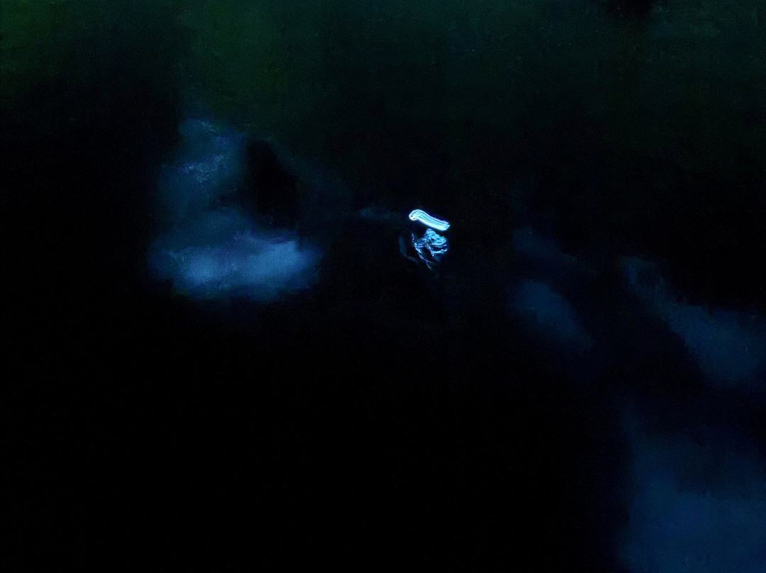 Parguera Eco Tours and Bio Bay-La Parguera必去景点