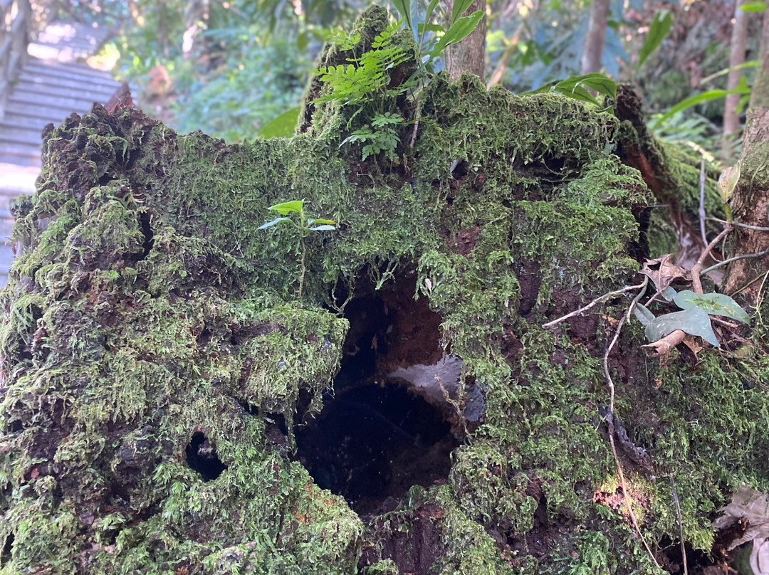 Amour Resort Bavi主图