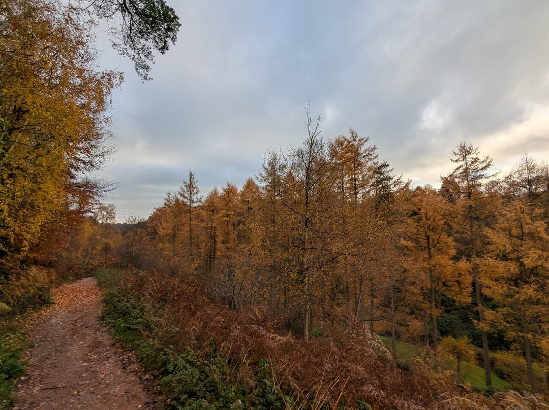 Dimmingsdale-奥尔顿必去景点