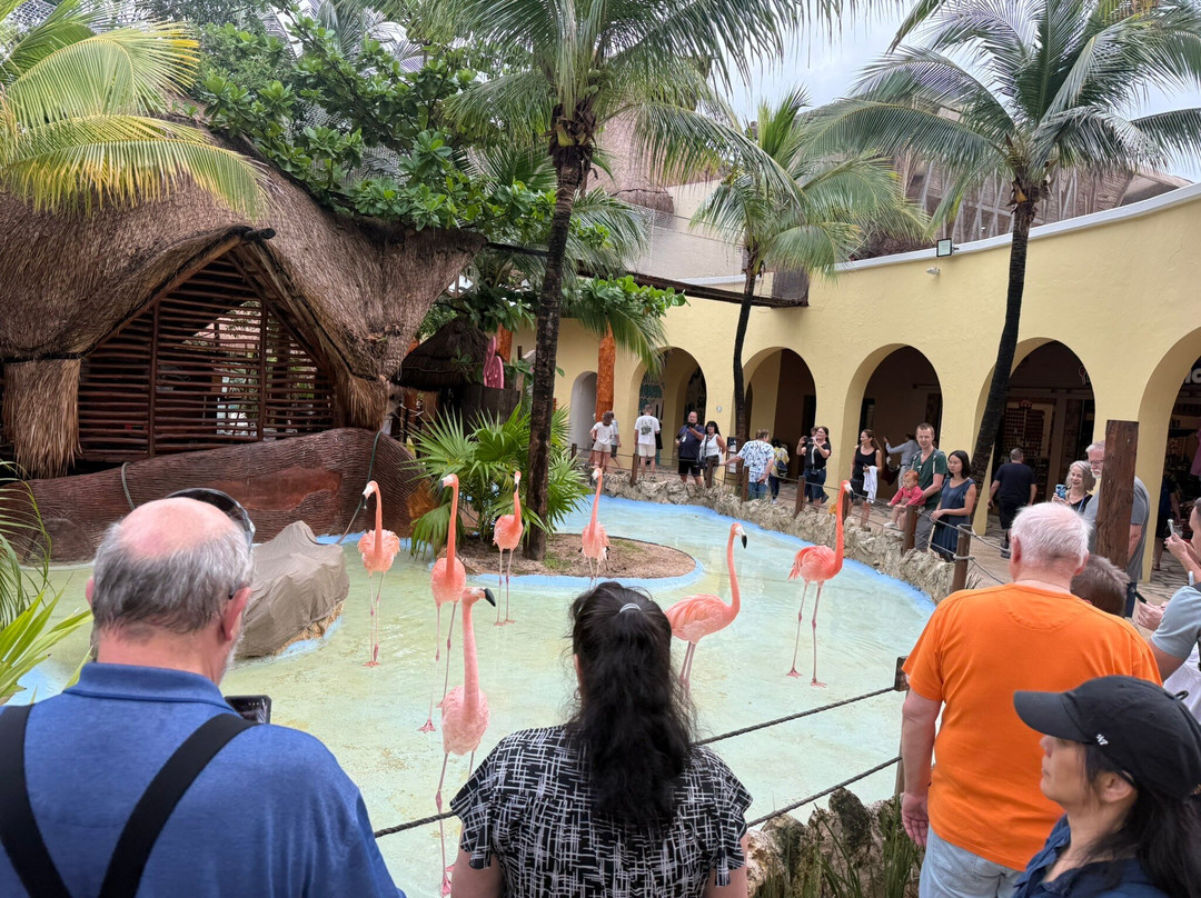 Mayahual Red Shirts Golf Carts-Mahahual必去景点