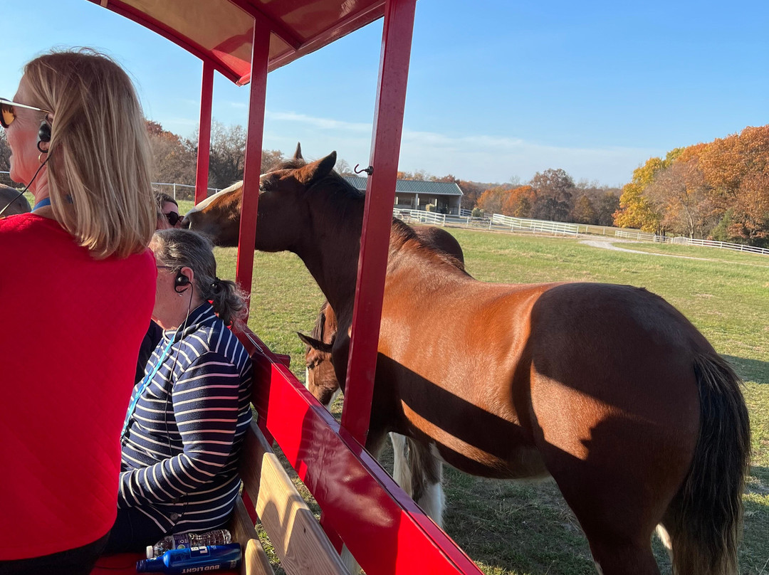 Warm Springs Ranch-Boonville必去景点
