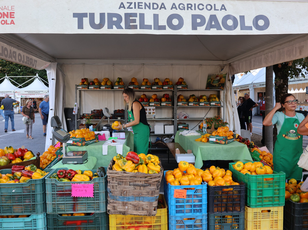 Sagra del Peperone-Carmagnola必去景点