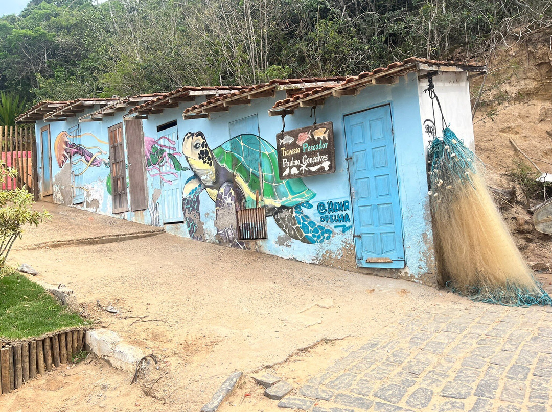 Praia da Tartaruga-布基亚斯必去景点