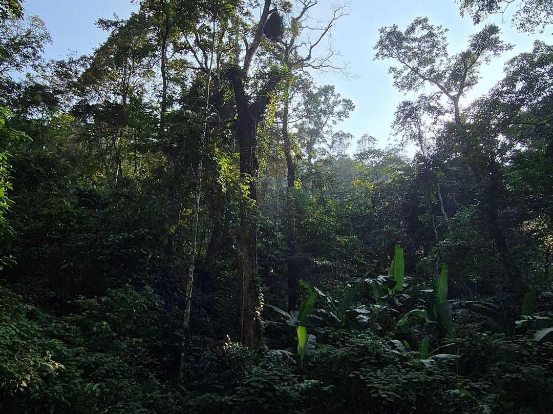 Ba Vi National Park-河内必去景点