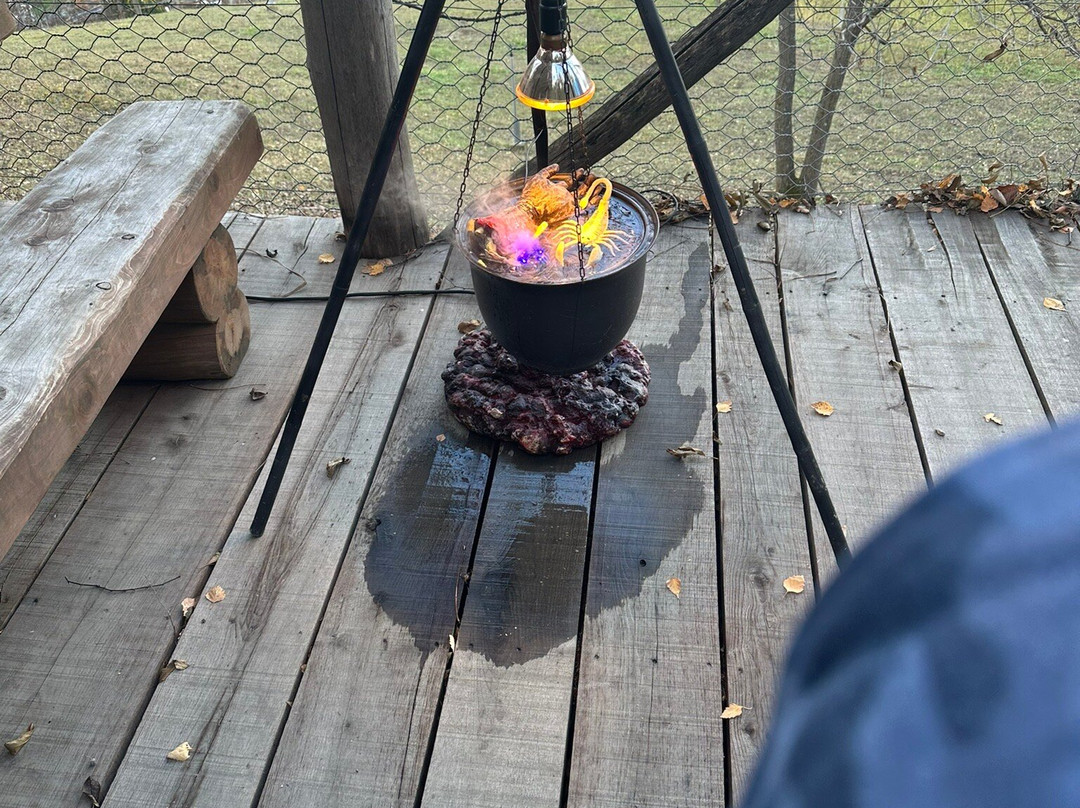 Parc Animalier d'Introd-Introd必去景点