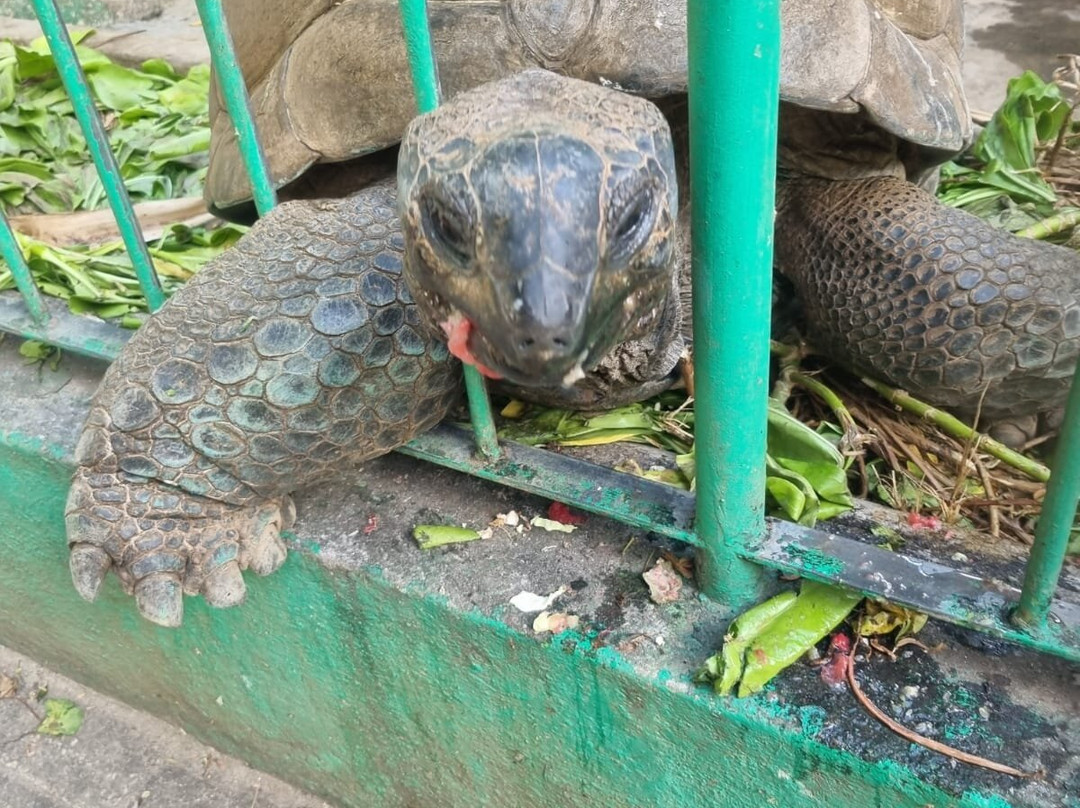 Infinity Charter Seychelles-普拉兰岛必去景点