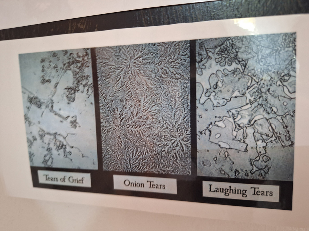 Kyriazis Medical Museum-拉纳加必去景点