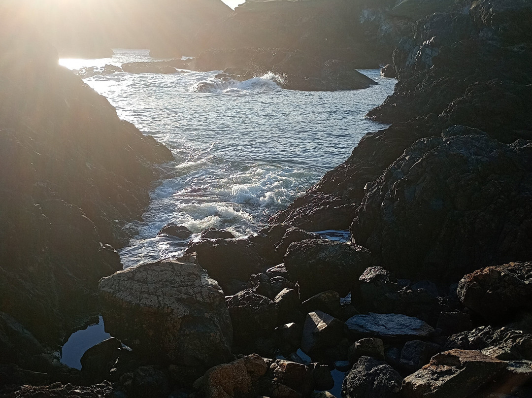 Kynance Cove from Lizard Green Walk-Lizard必去景点