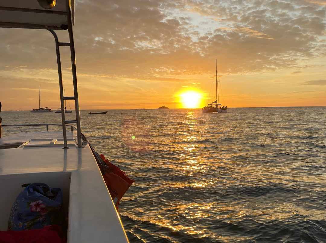 El Cadejo Marino-Playa Panama必去景点