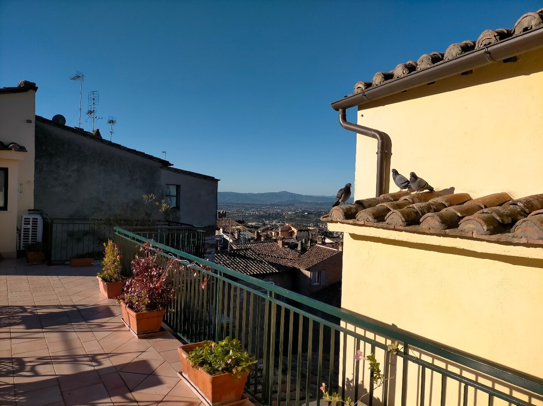 福尔图纳酒店主图