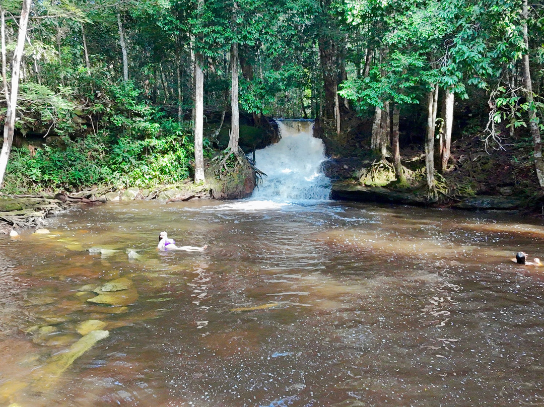 Cachoeira das Orquideas-Presidente Figueiredo必去景点