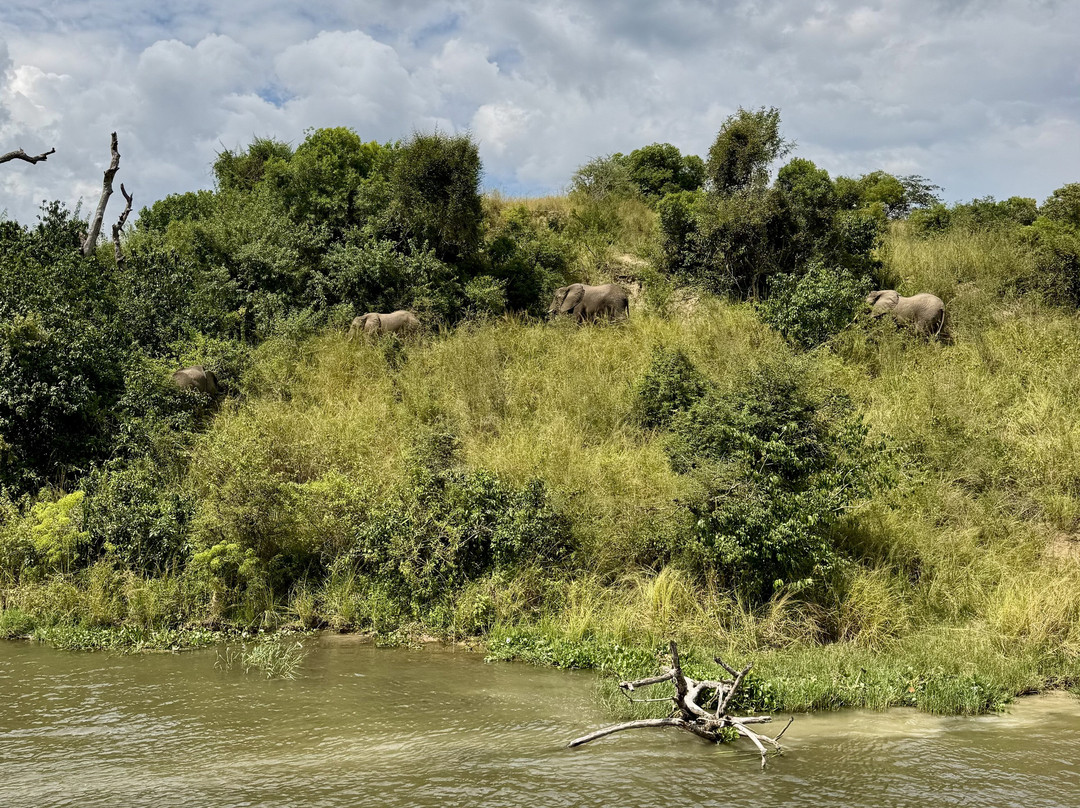 Trek Rwenzori Tours-Fort Portal必去景点