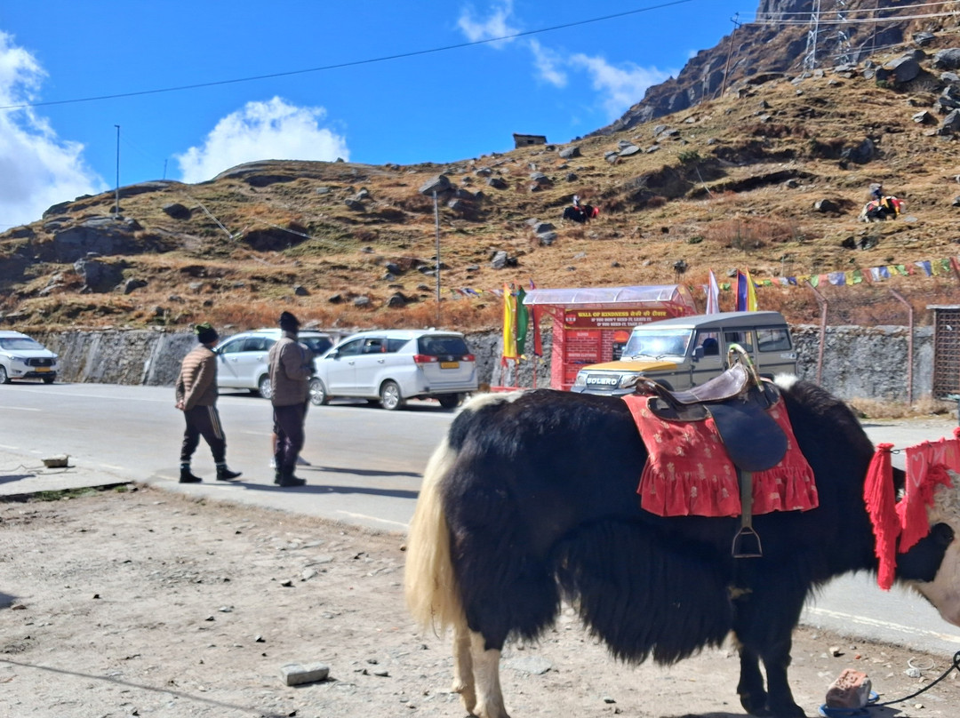 Lord Tours & Travels-甘托克必去景点