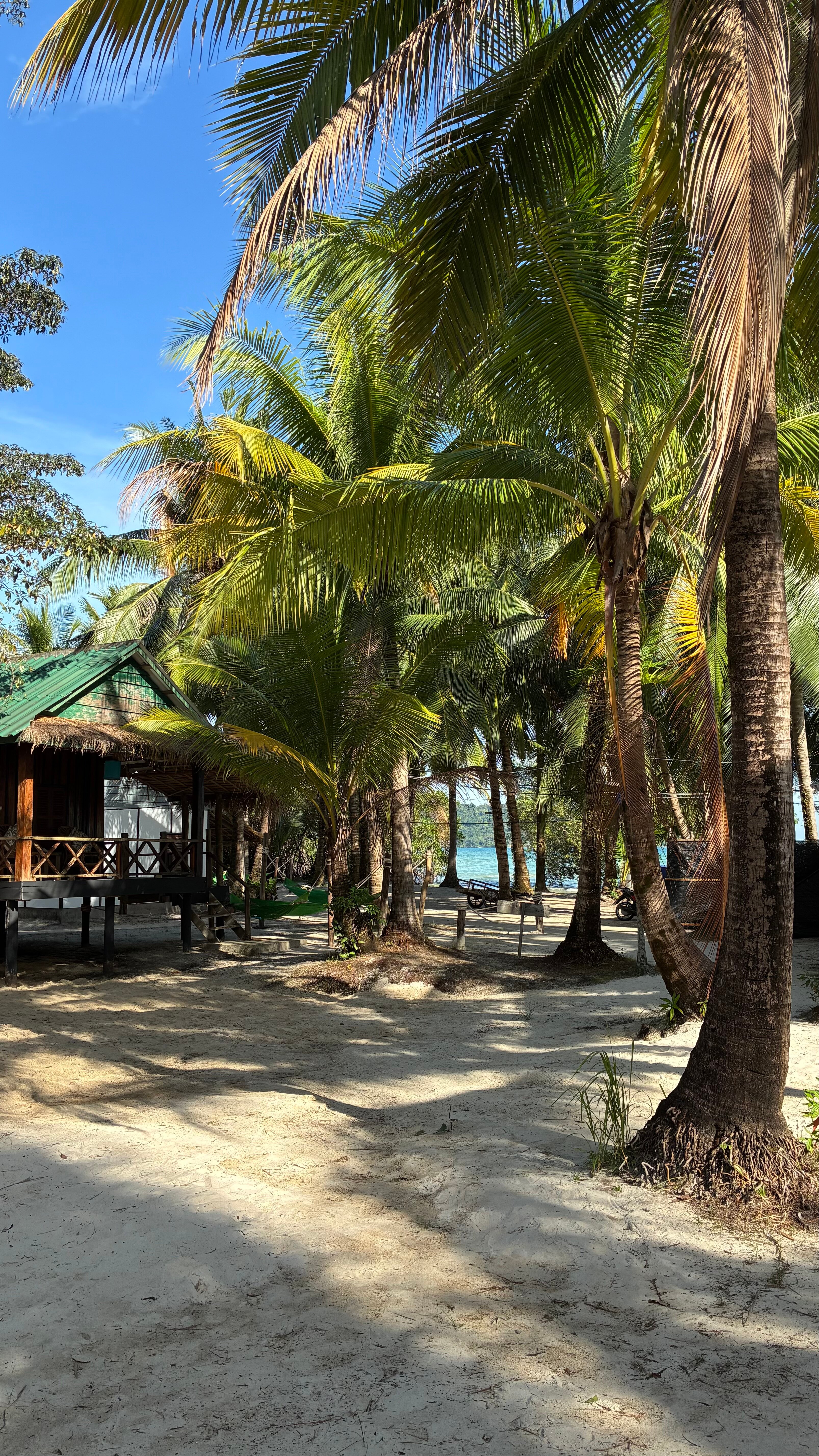 棕榈滩别墅度假村-官方