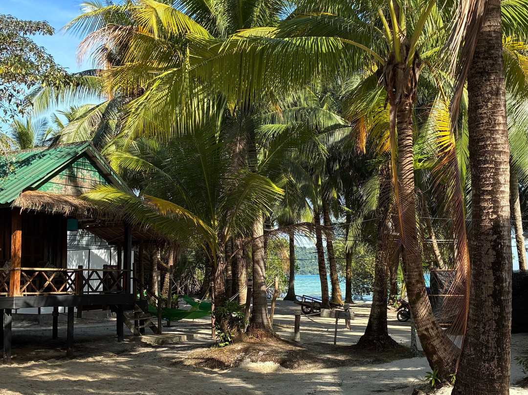 棕榈滩别墅度假村主图