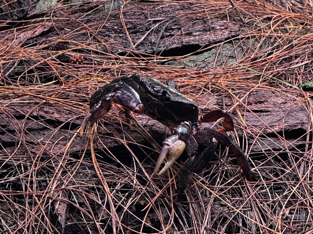 Guam Private Boat Trips-Merizo必去景点