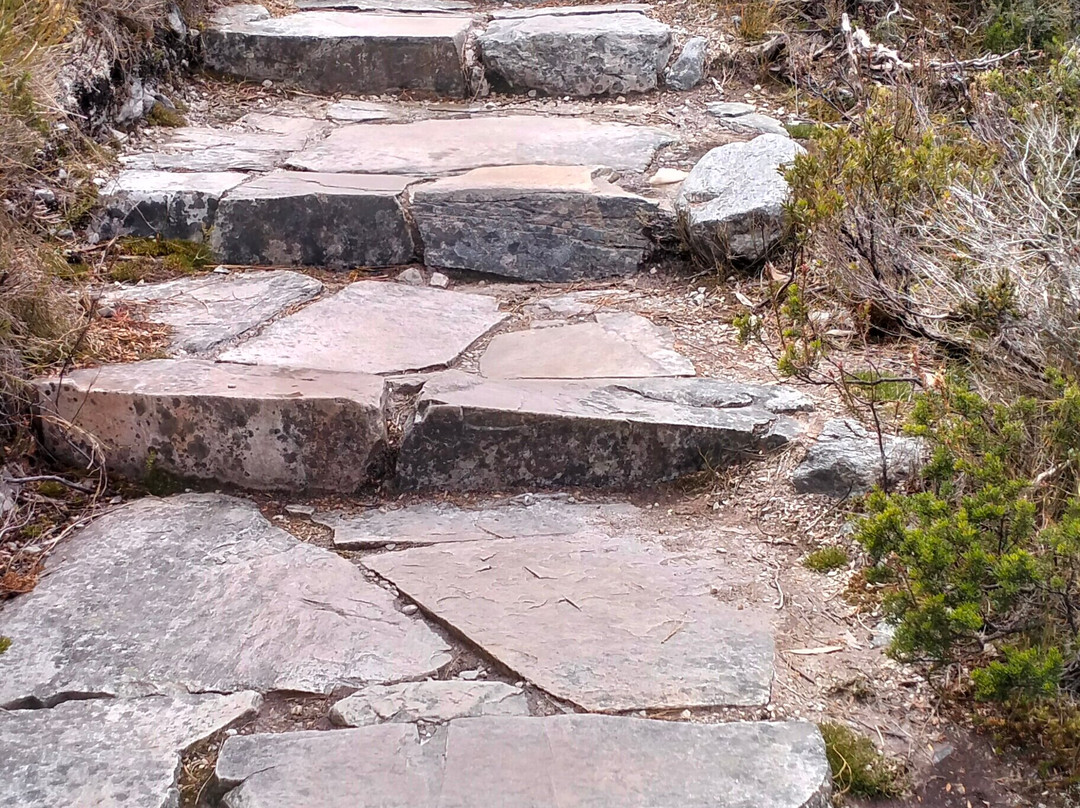 Crater Lake Circuit-摇篮山圣克莱尔湖国家公园必去景点