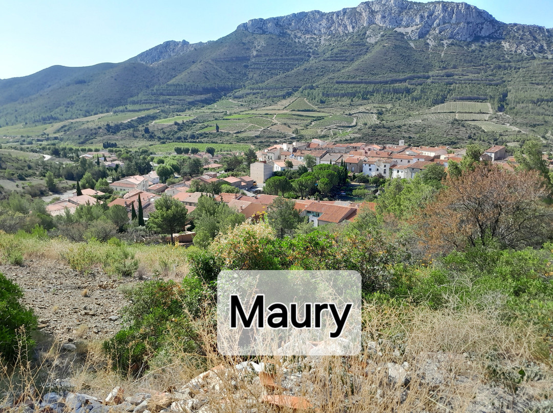 Cave Les Vignerons de Maury-Maury必去景点