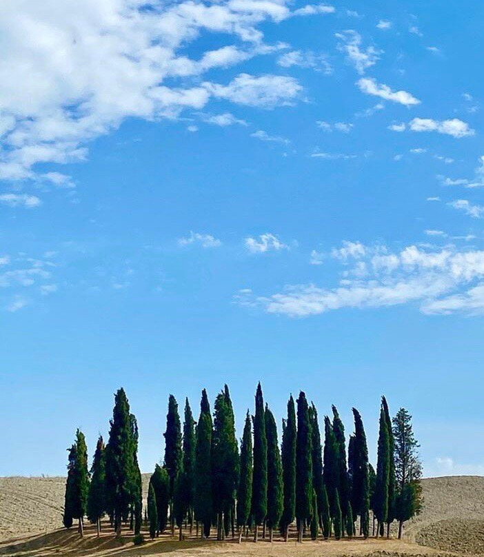 Cipressi di San Quirico d'Orcia-圣奎里科多尔恰必去景点