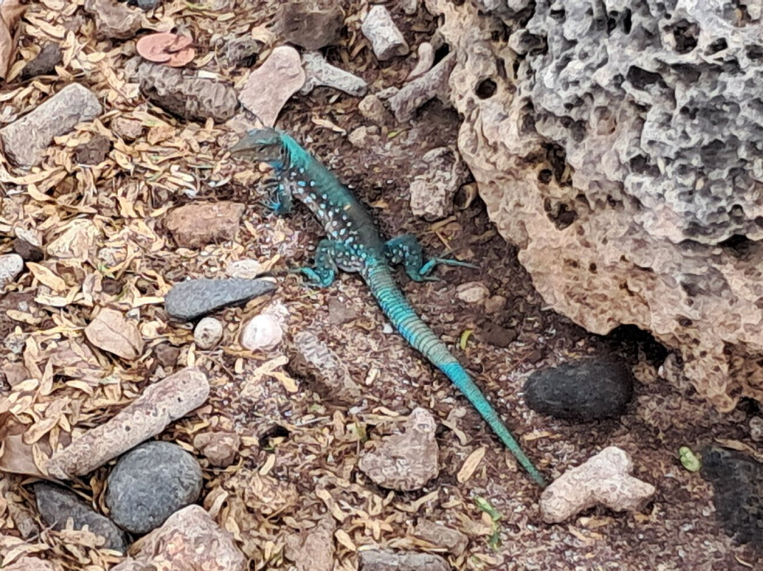 Boca Catalina-Noord必去景点
