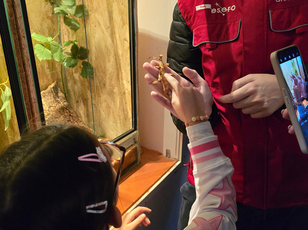 Citta Della Scienza-那不勒斯必去景点