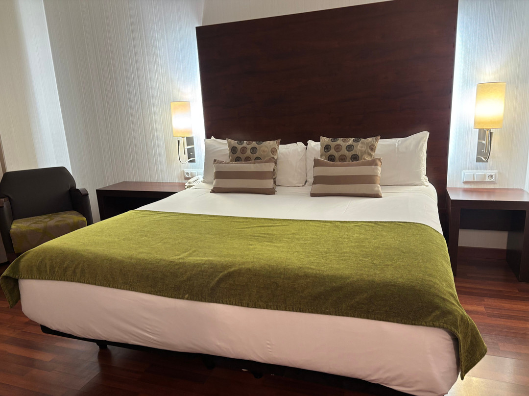 Hotel Gran Ultonia主图