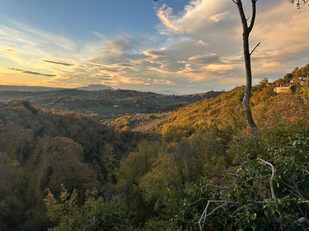 Italian Cooking Class and Olive Tour Experience-罗马必去景点