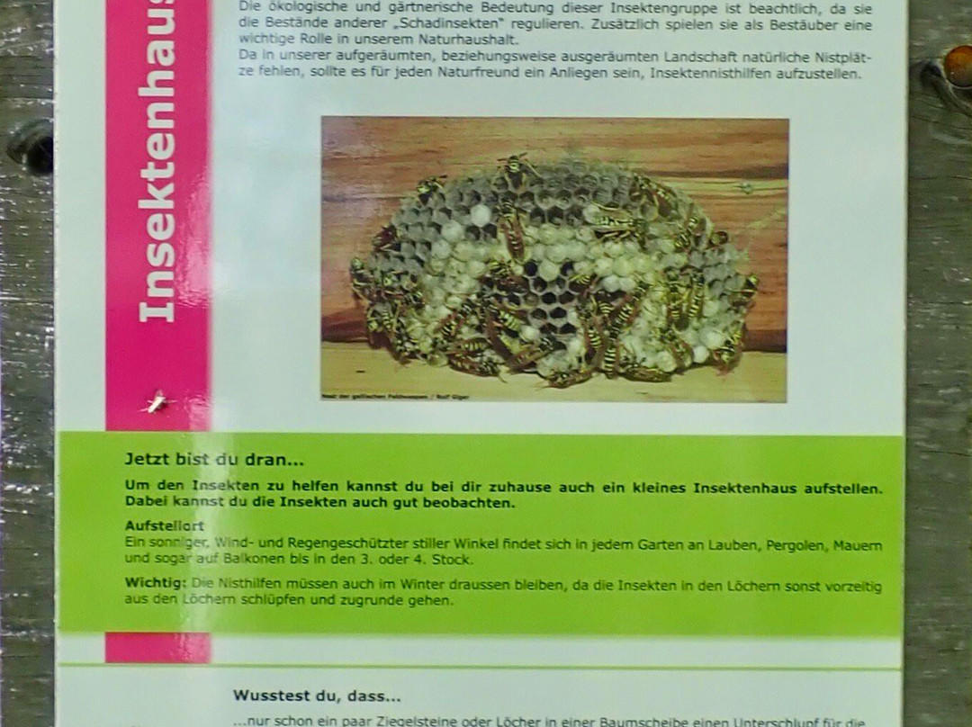 GWunderwald Heidboden Davos-达沃斯必去景点