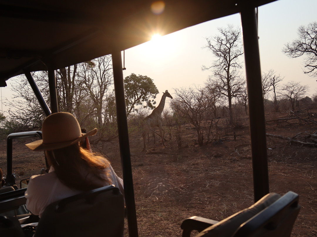 The Wallow Lodge主图