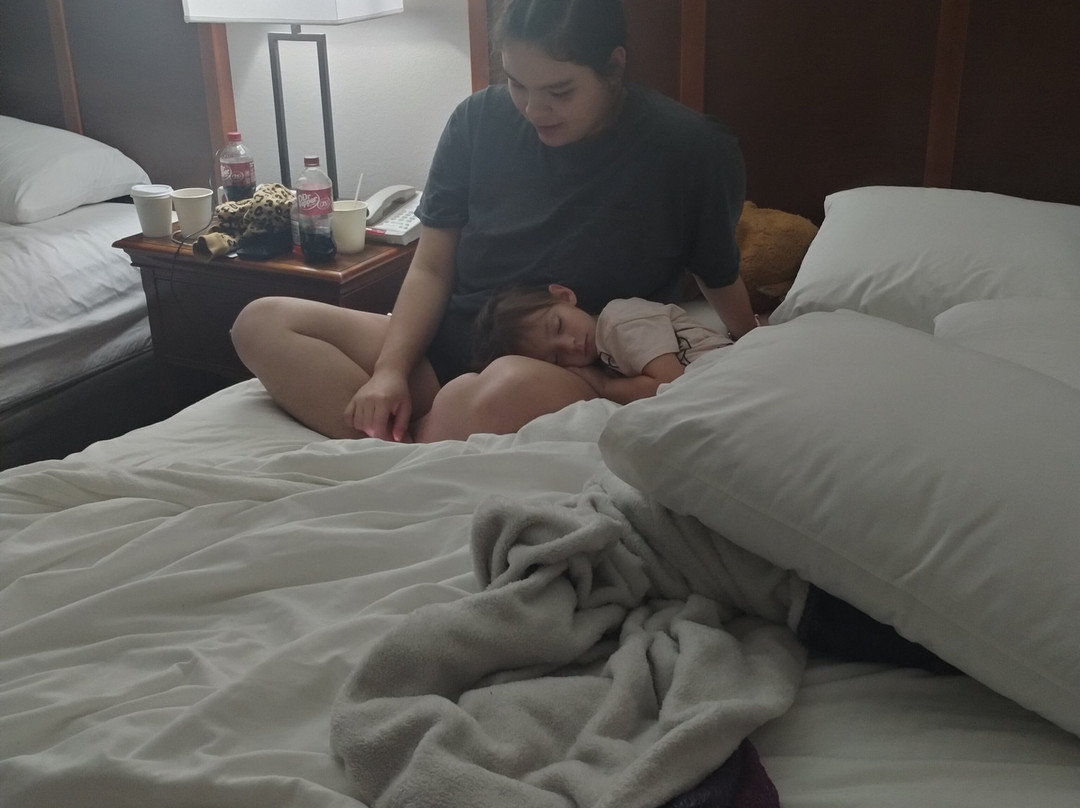 Great Smokies Inn主图