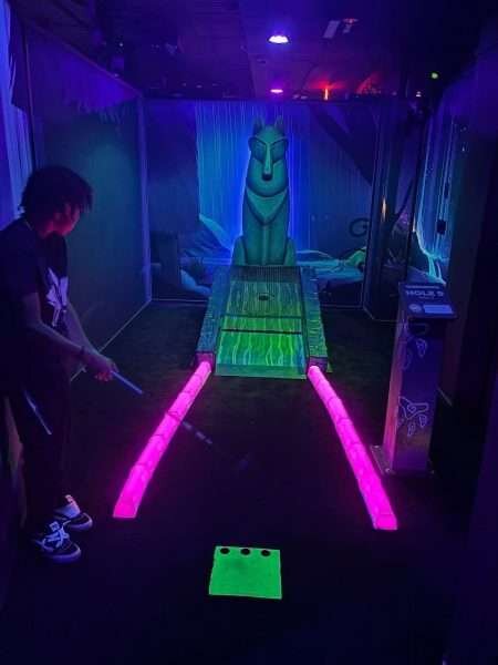 威廉斯堡大狼屋酒店-家庭/游戏区