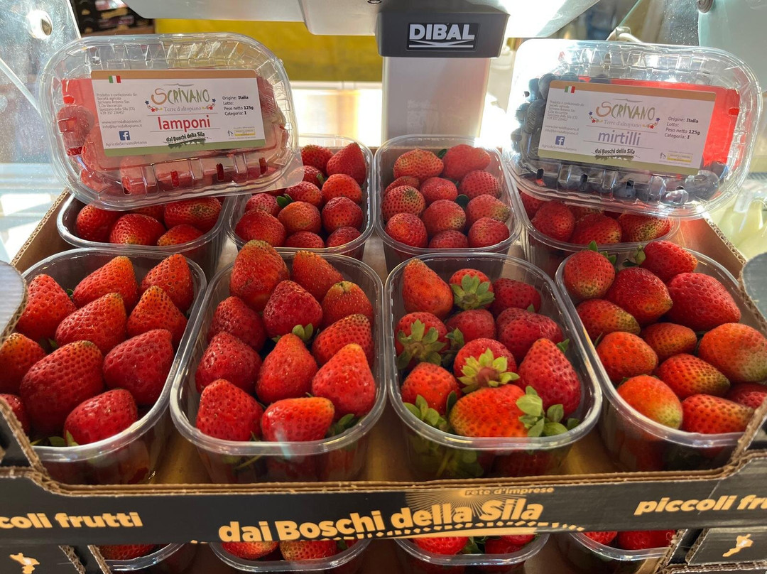 Mercato di Campagna Amica-科森扎必去景点