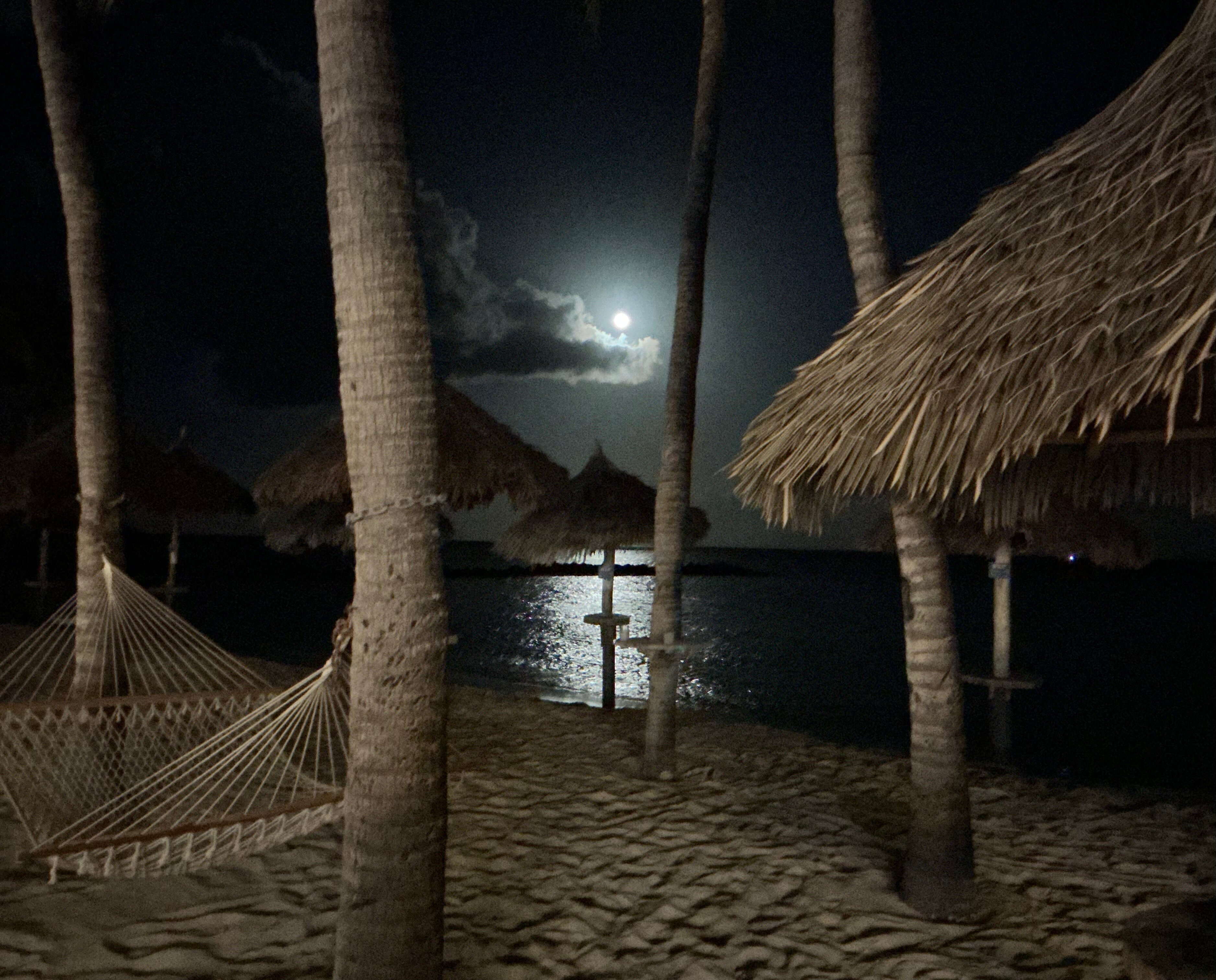 Divi Aruba Phoenix Beach Resort-泳池