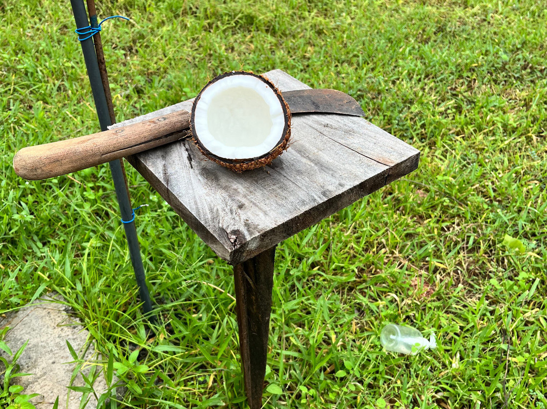 Visit Sri Lanka Transfers-Ratmalana必去景点