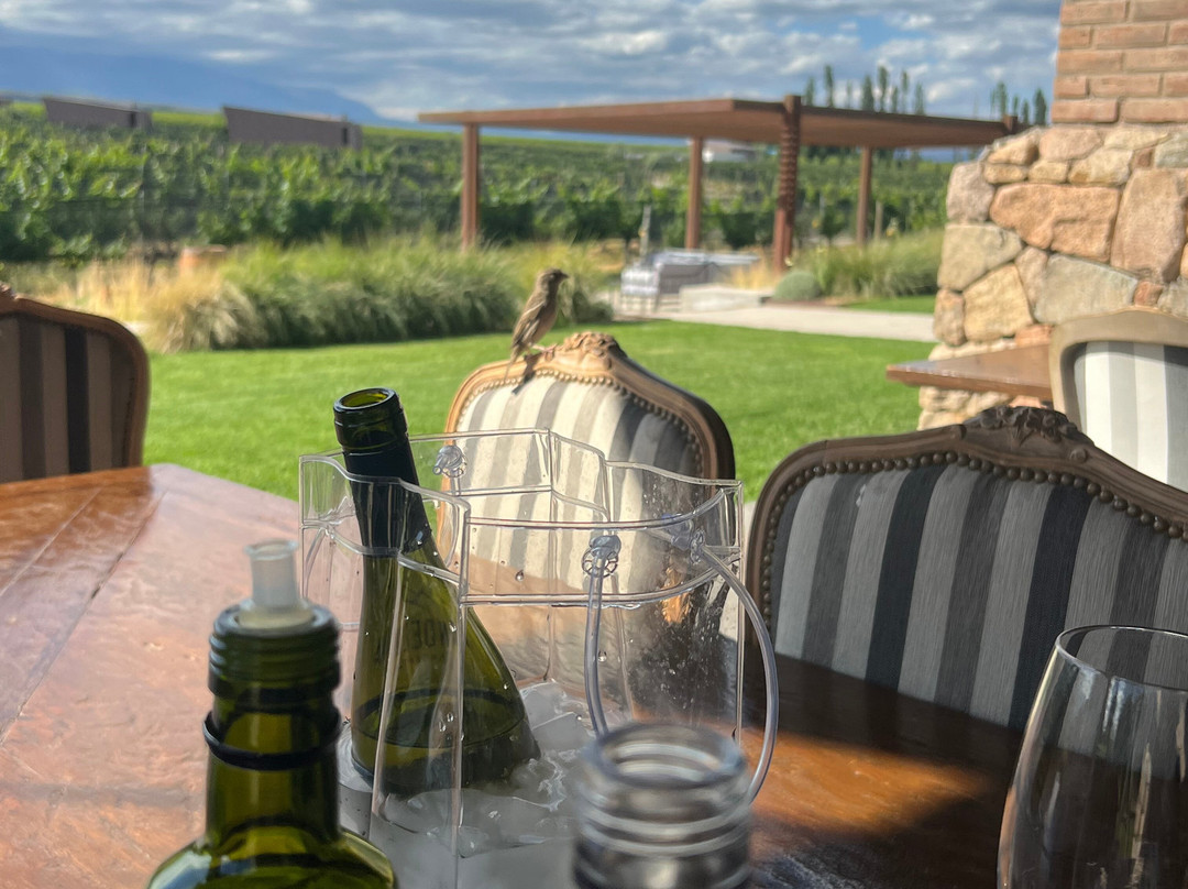 Adora Mendoza-门多萨必去景点