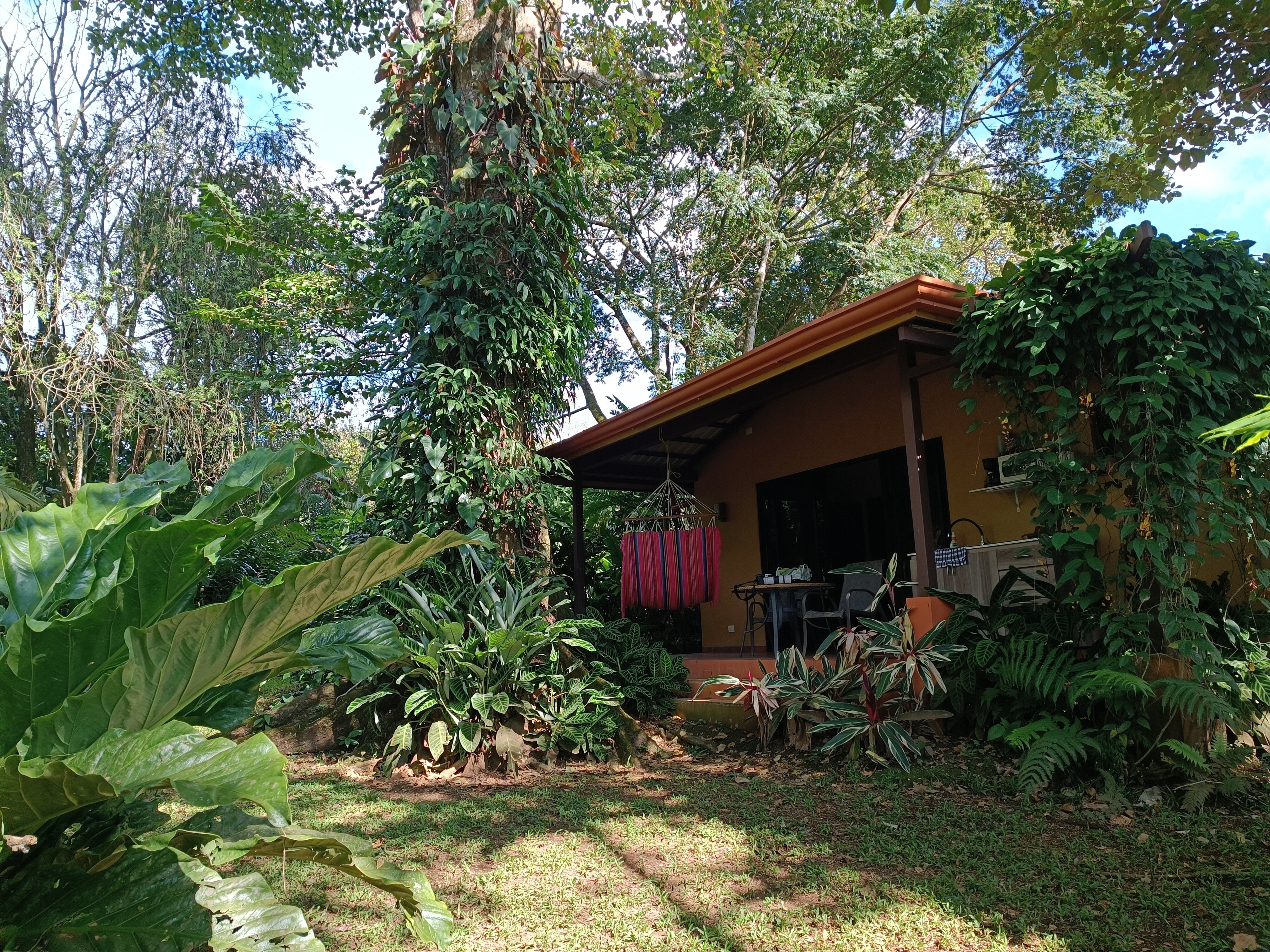 Tacacori Ecolodge-官方