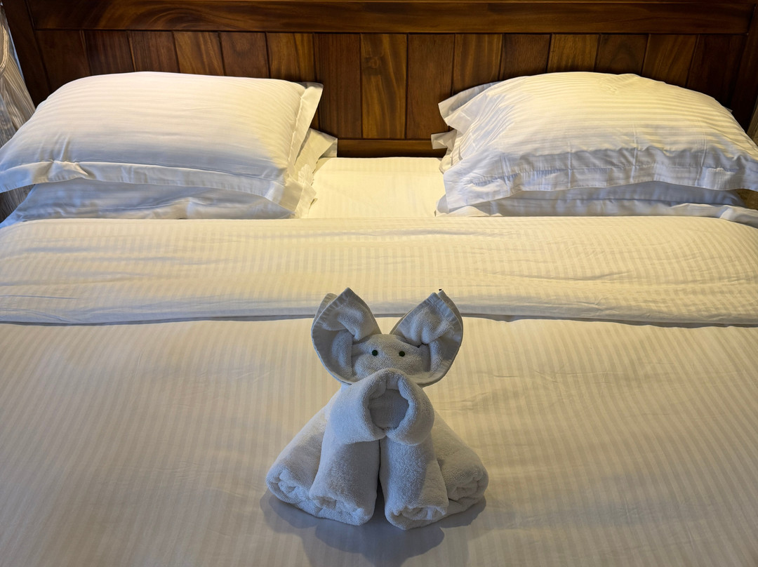 皇家棕榈滩大酒店主图