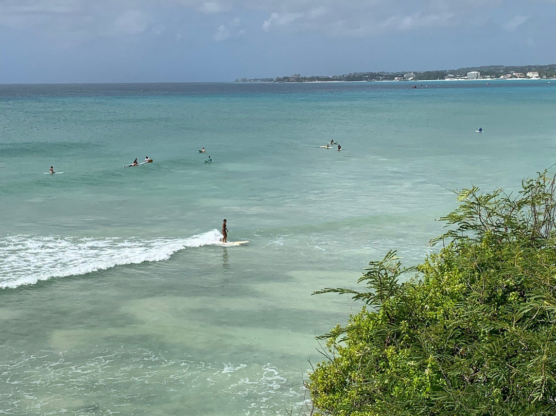 Bodie's School of Surf-奥伊斯廷斯必去景点